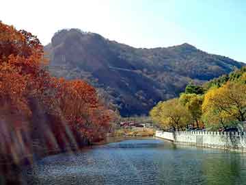 管家婆免费正版资起大全，浮山seo建站